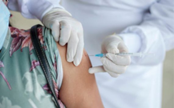 Virus chikungunya